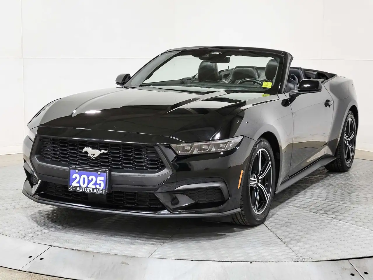 Ford Mustang - Image 48