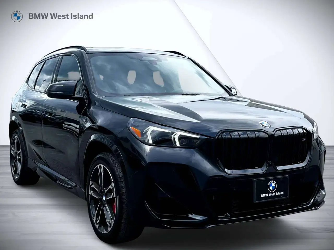 BMW X1 - Image 10