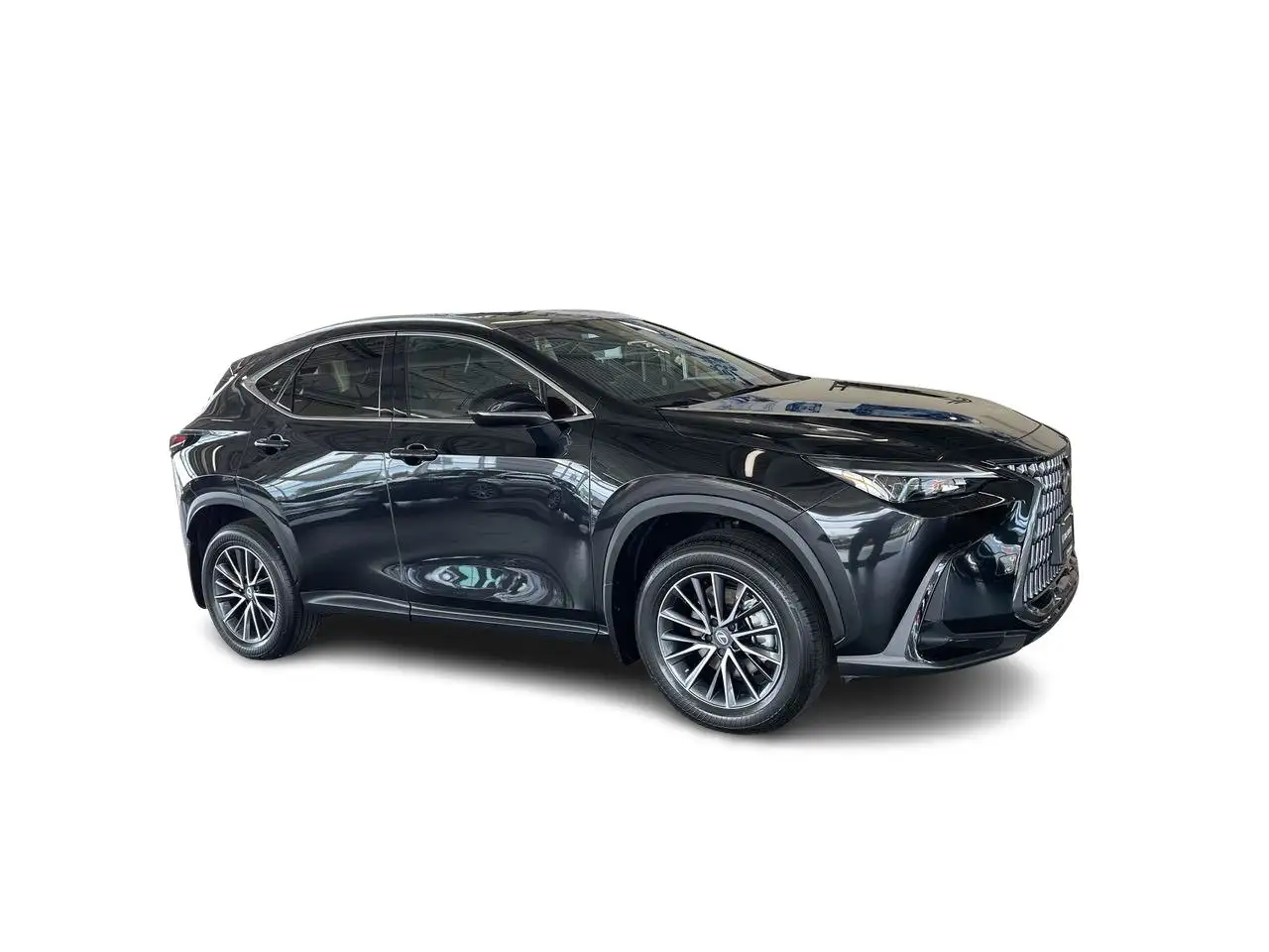 Lexus NX - Image 17