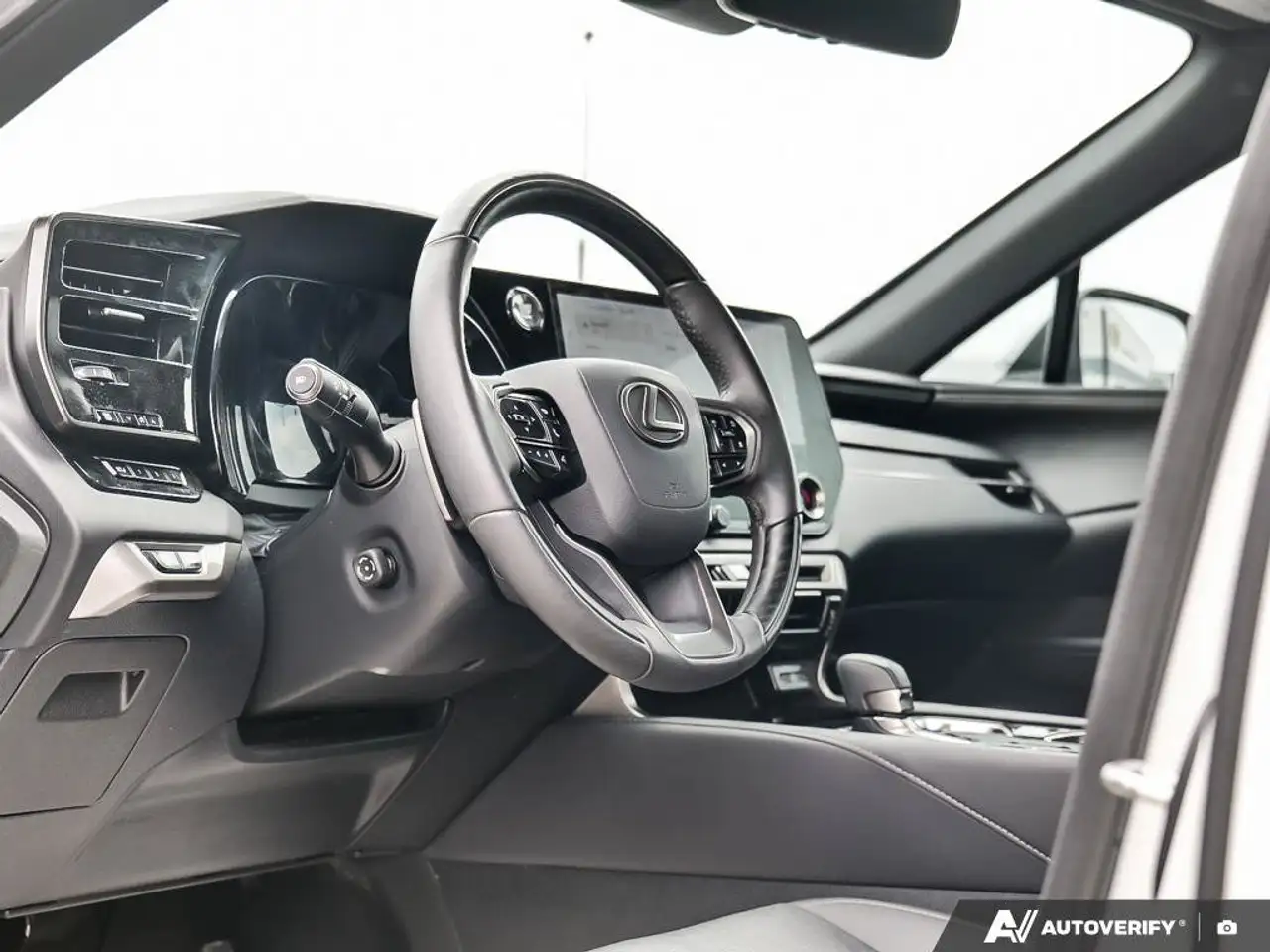 Lexus RX - Image 15
