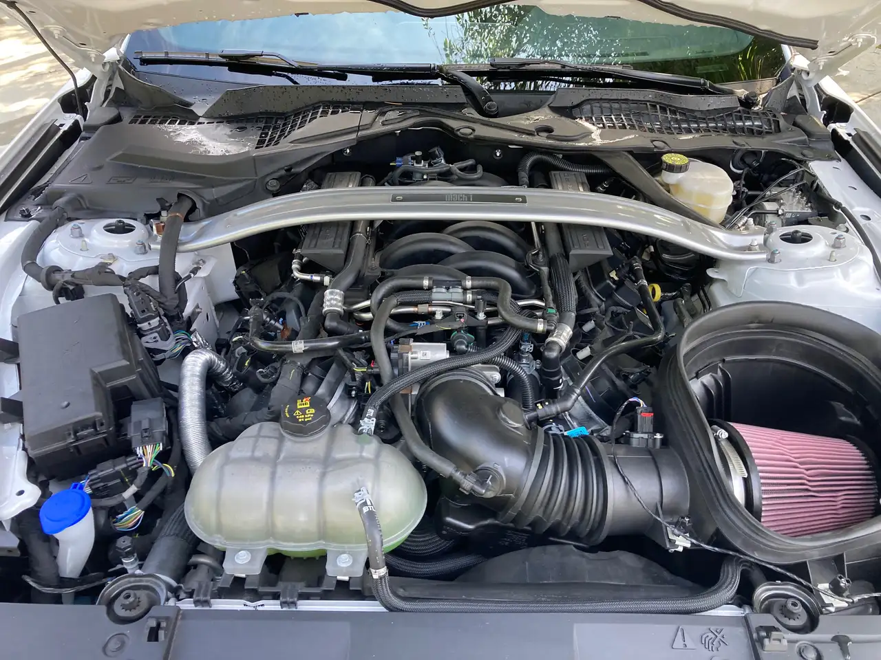 Ford Mustang - Image 8