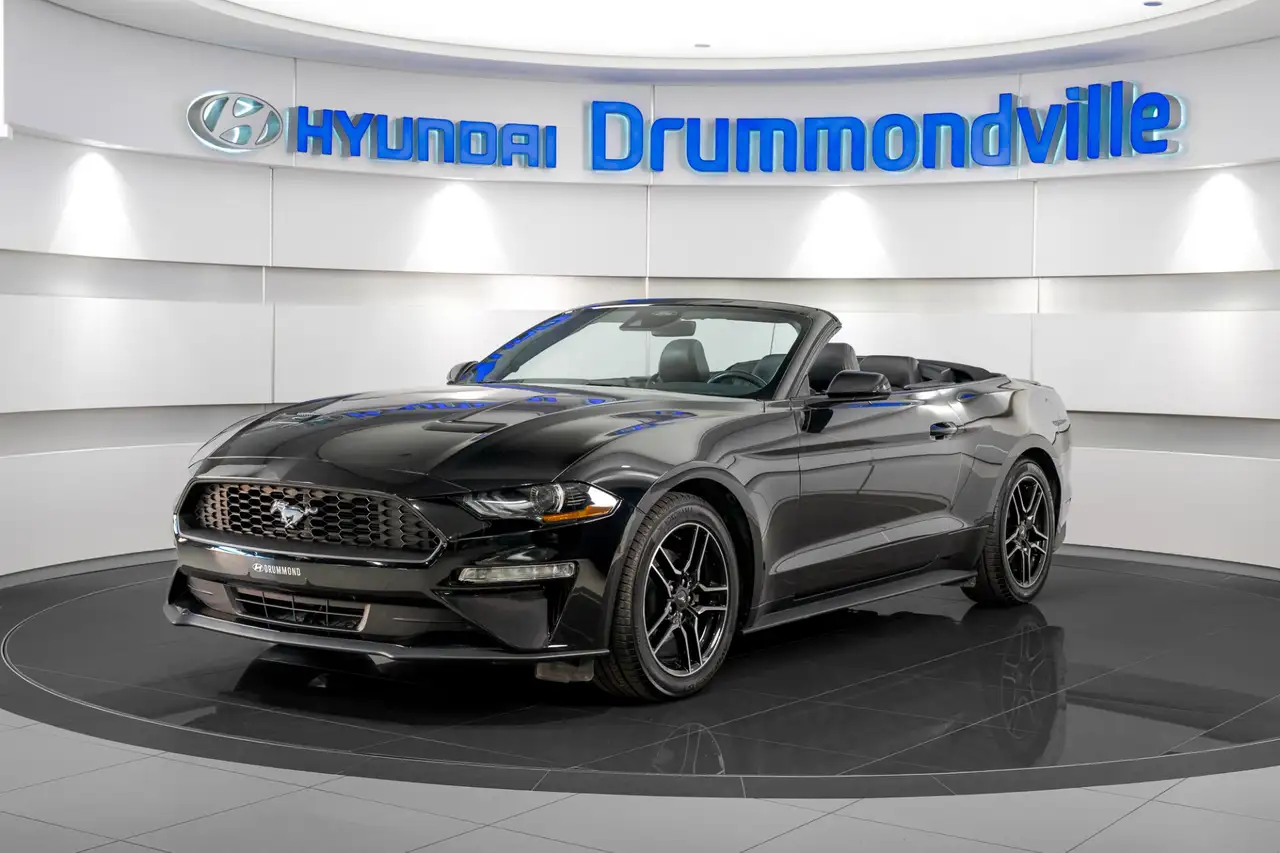 Ford Mustang - Image 1