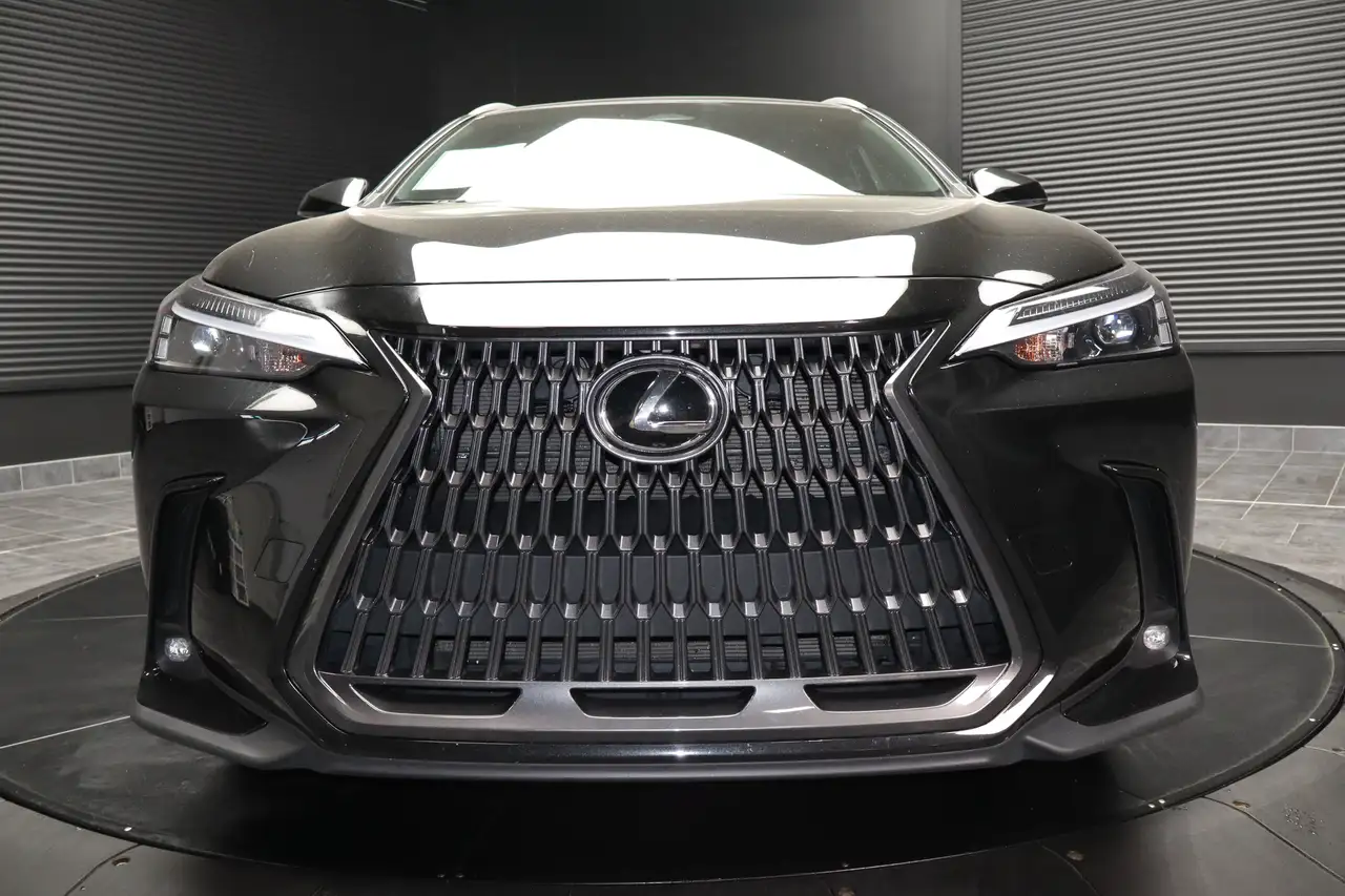 Lexus NX - Image 9