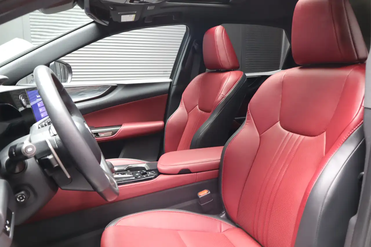 Lexus NX - Image 18