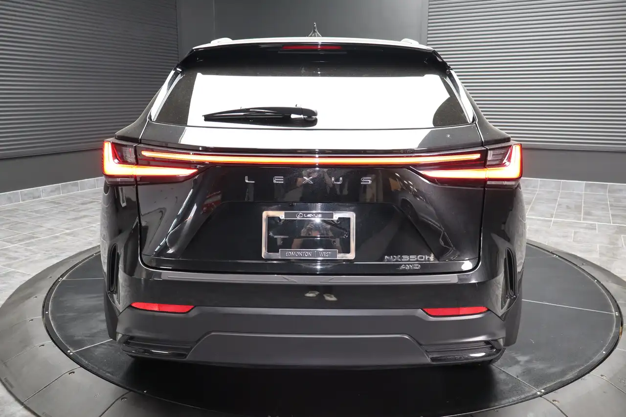 Lexus NX - Image 4