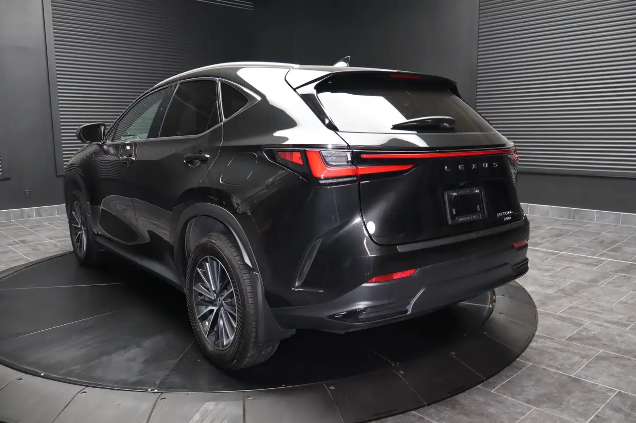 Lexus NX - Image 6