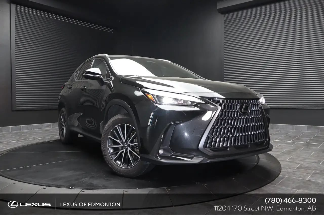 Lexus NX - Image 1