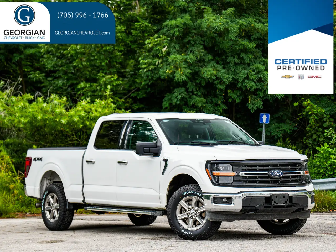 Ford F-150 - Image 1