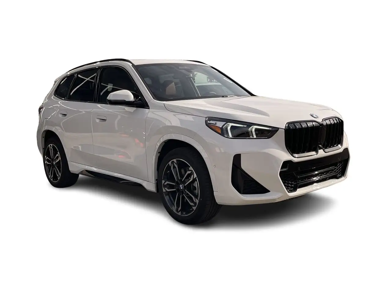 BMW X1 - Image 15