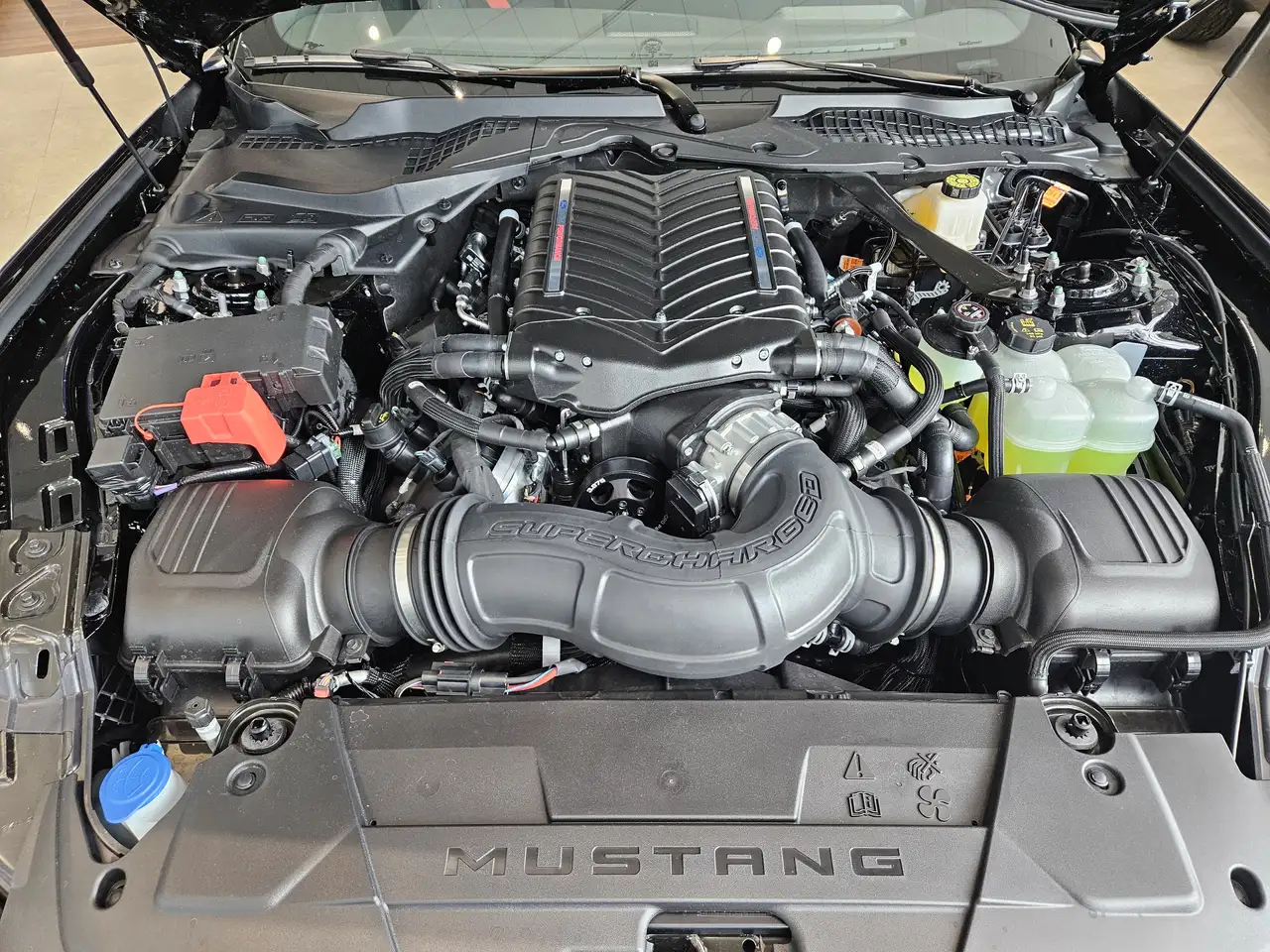 Ford Mustang - Image 3