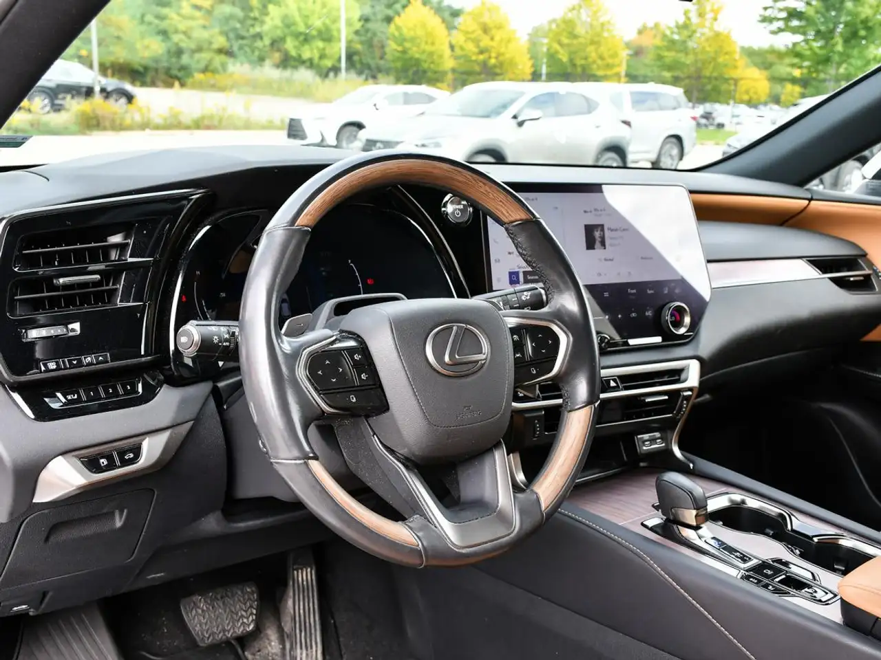 Lexus RX 350h - Image 12