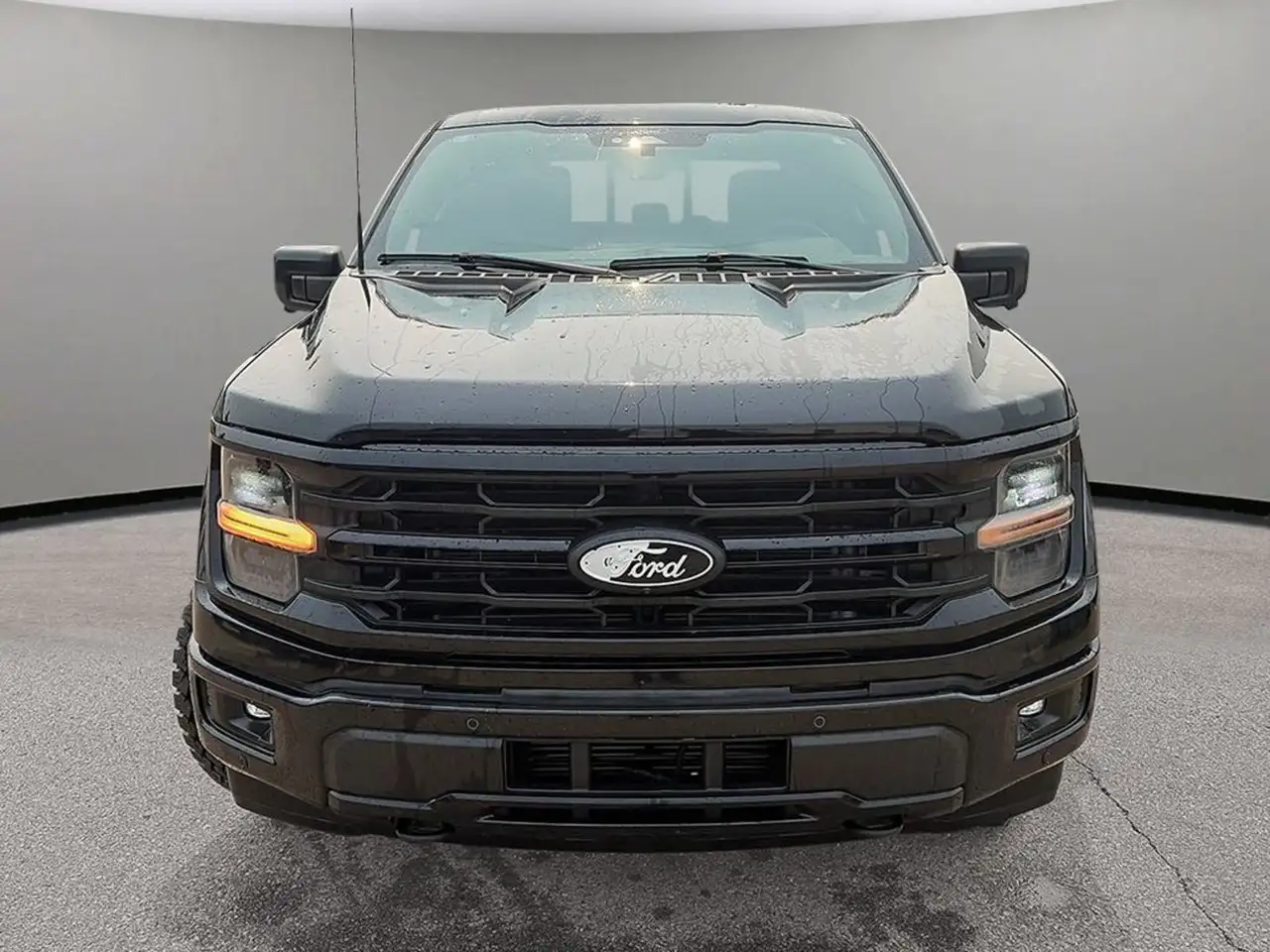 Ford F-150 - Image 2