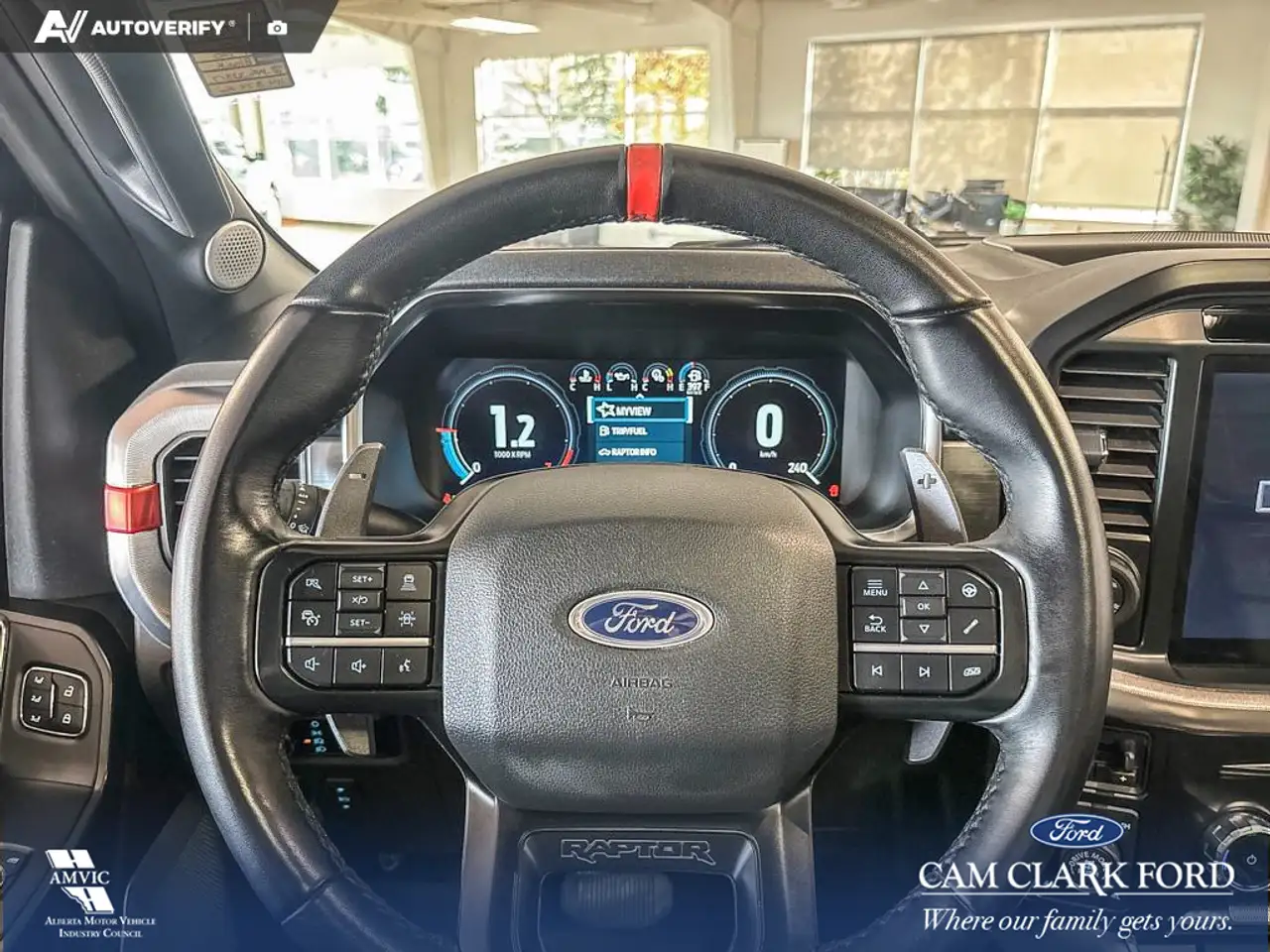 Ford F-150 - Image 10