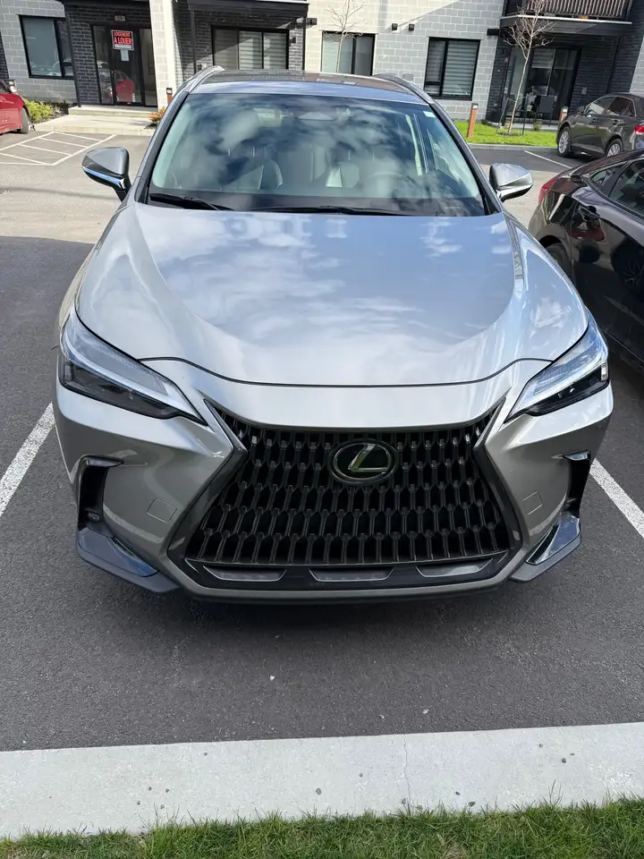Lexus NX - Image 8