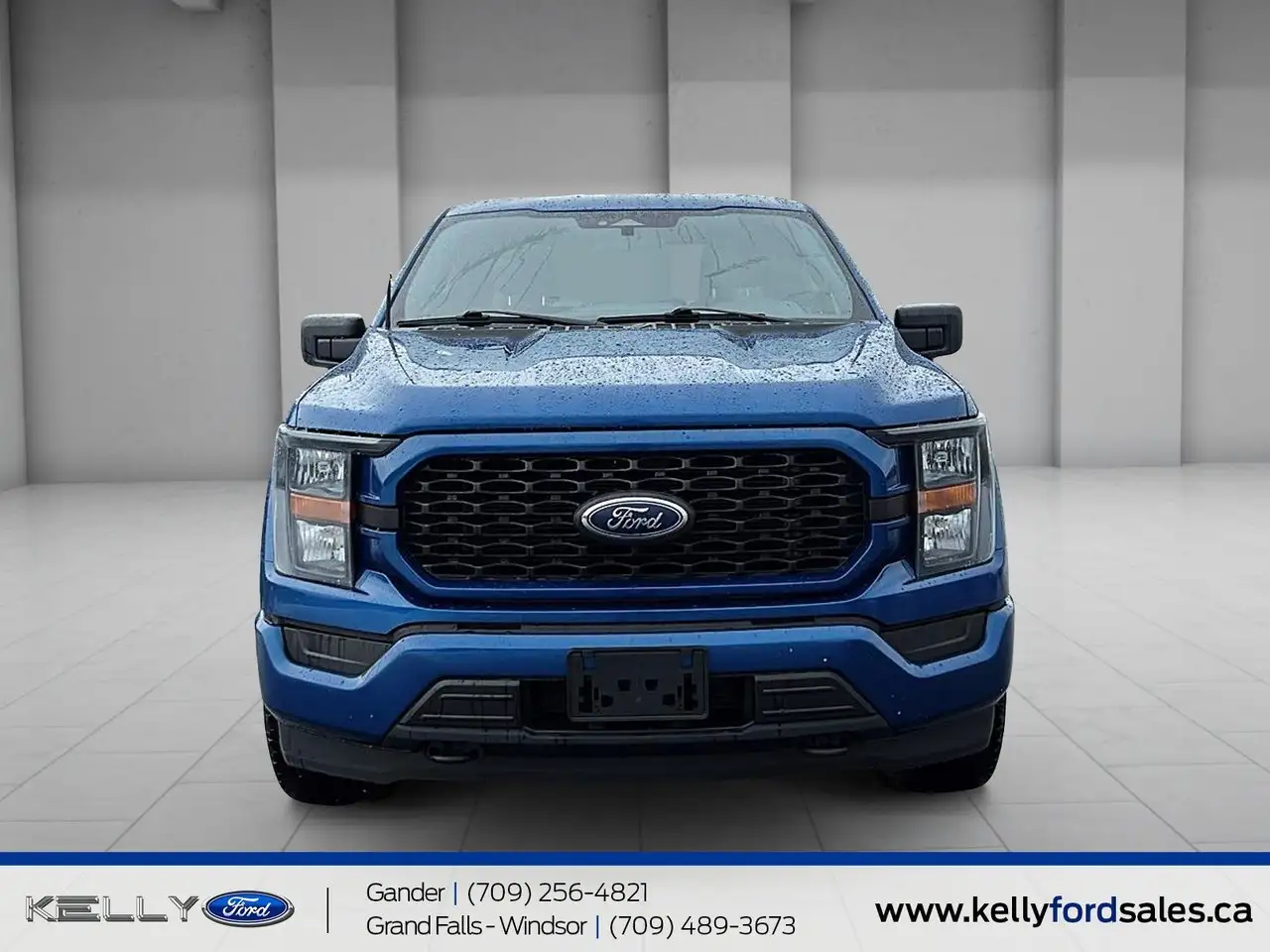 Ford F-150 - Image 2