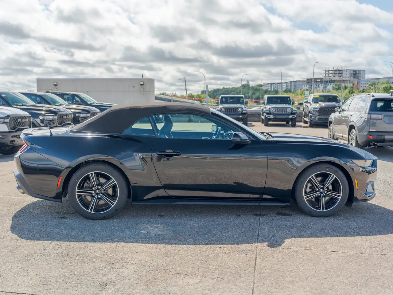 Ford Mustang - Image 8