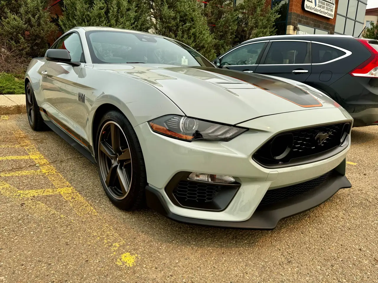 Ford Mustang - Image 4
