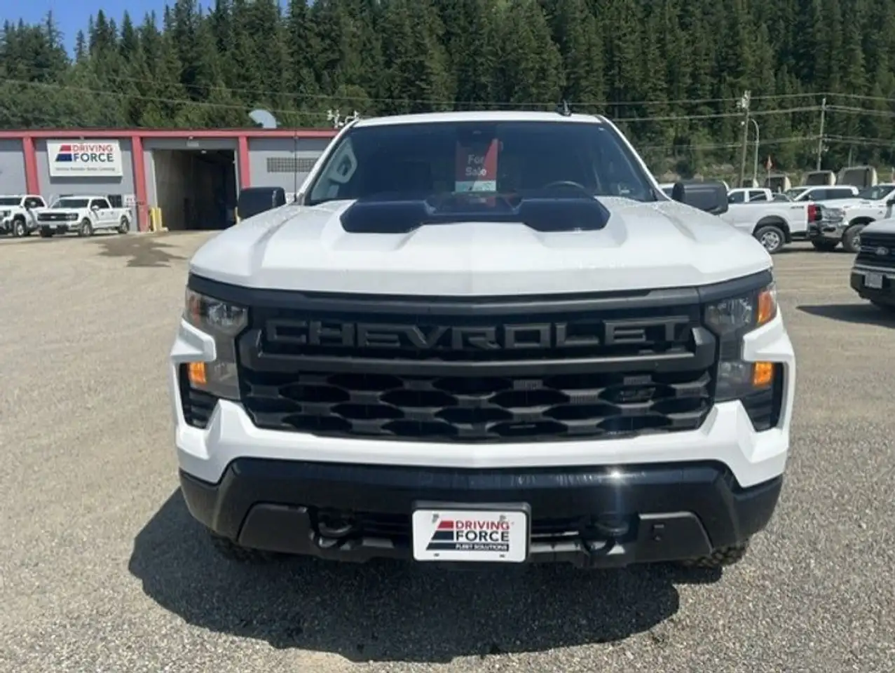 Chevrolet Silverado 1500 - Image 9
