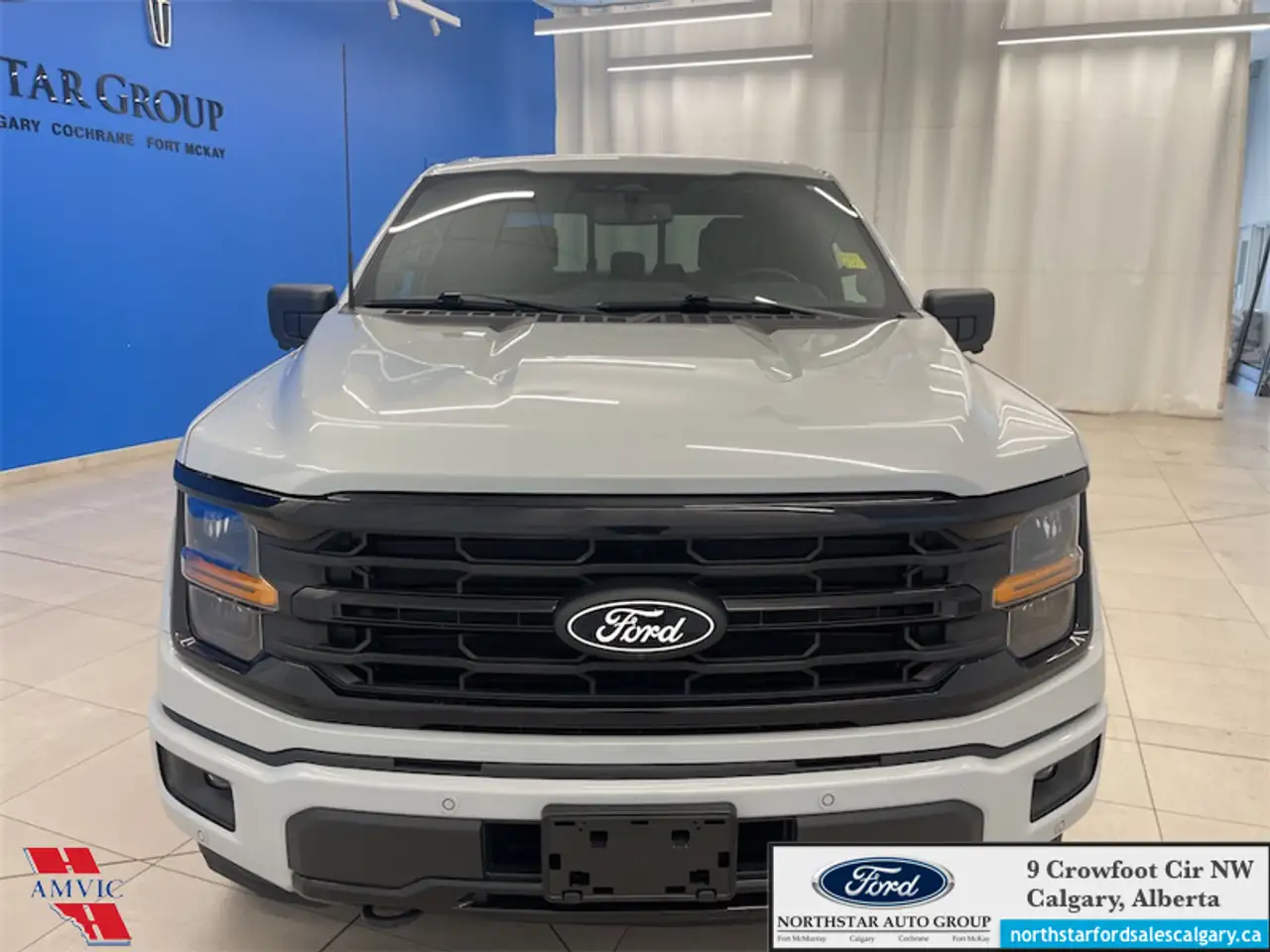 Ford F-150 - Image 2