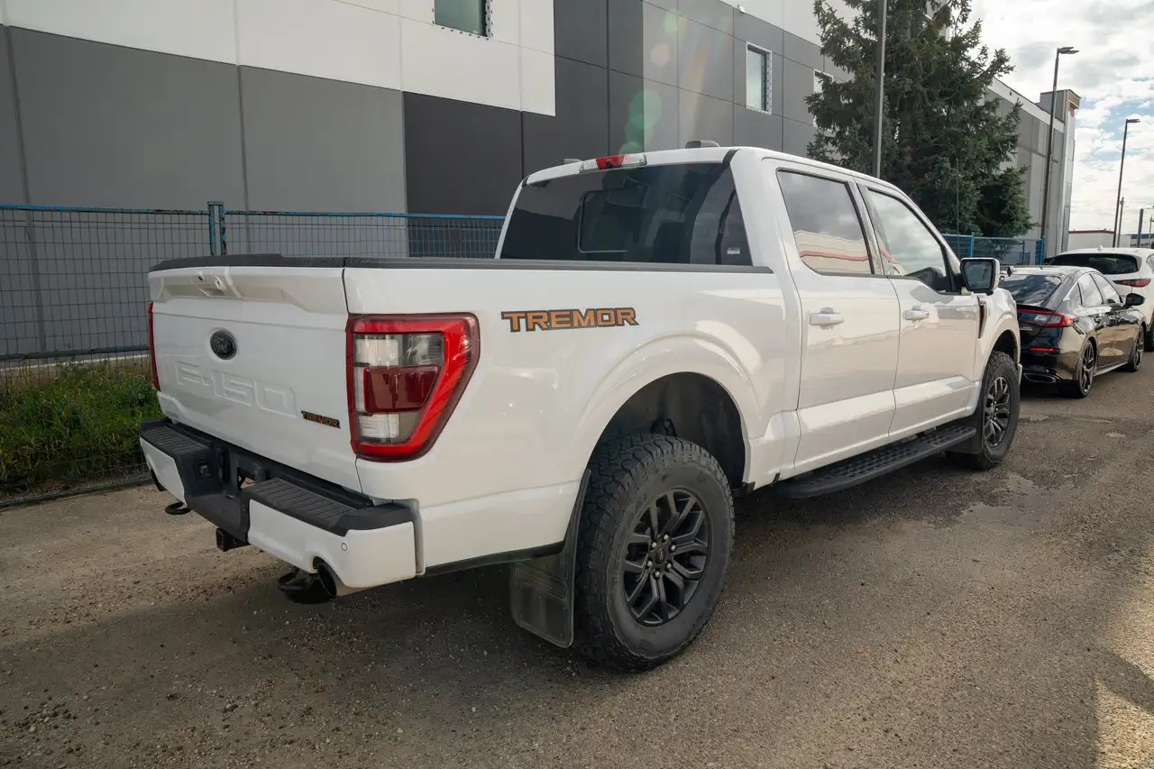 Ford F-150 - Image 3