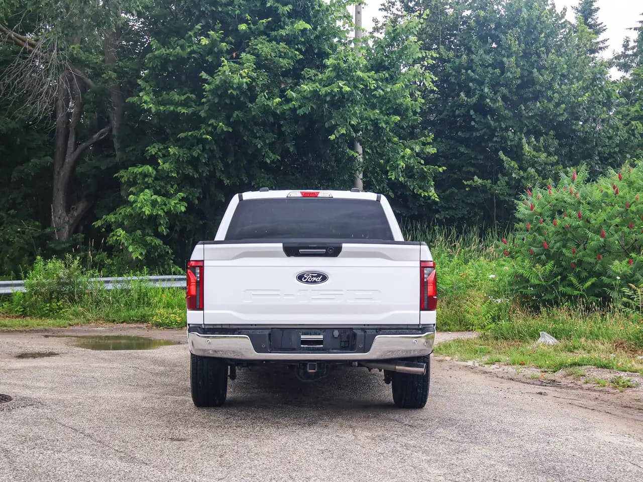 Ford F-150 - Image 9