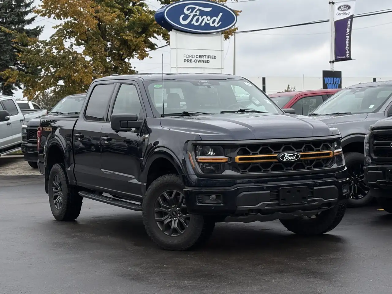 Ford F-150 - Image 2