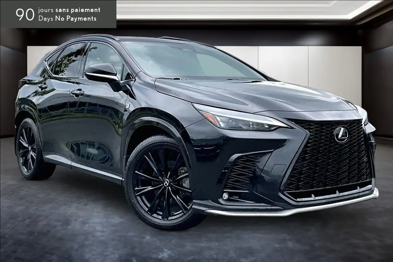 Lexus NX - Image 11