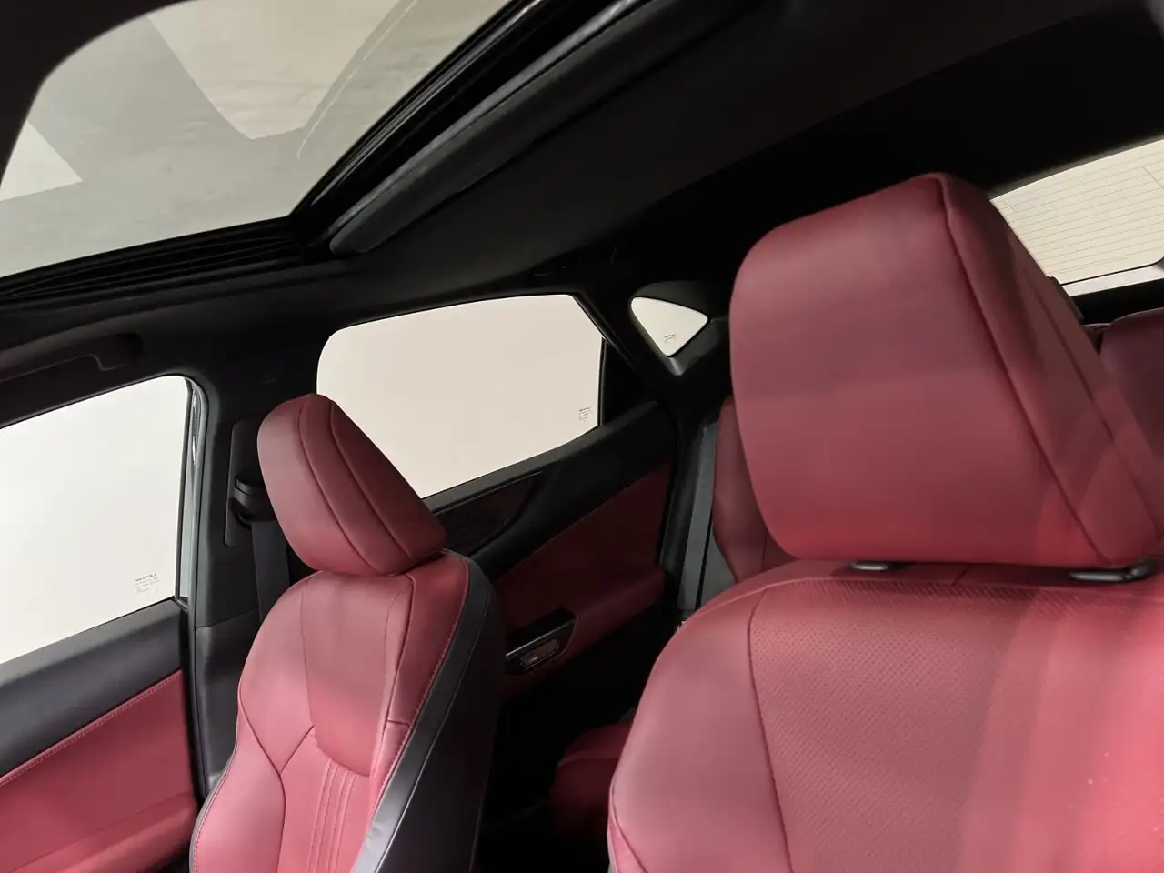 Lexus NX - Image 19