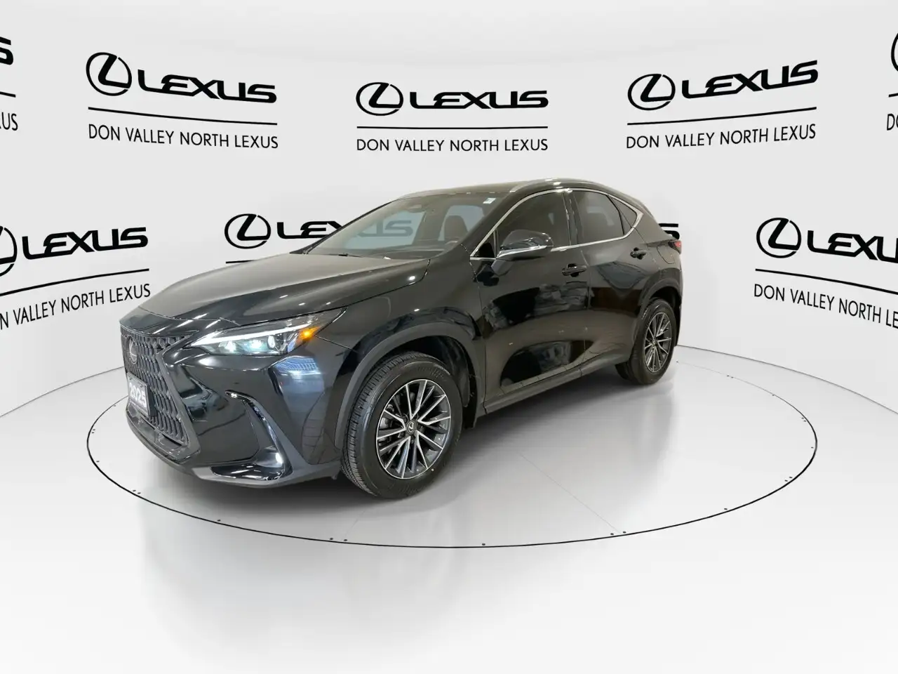 Lexus NX - Image 4