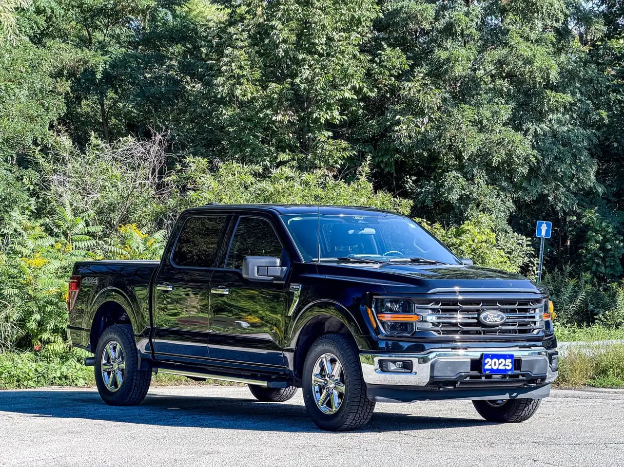 Ford F-150 - Image 3