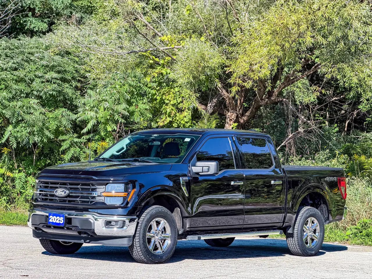 Ford F-150 - Image 11