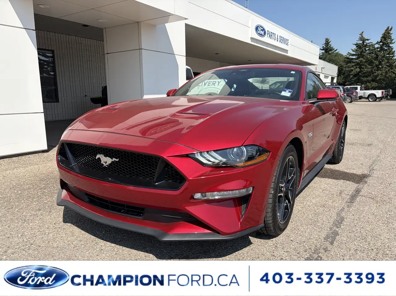Ford Mustang - Image 1