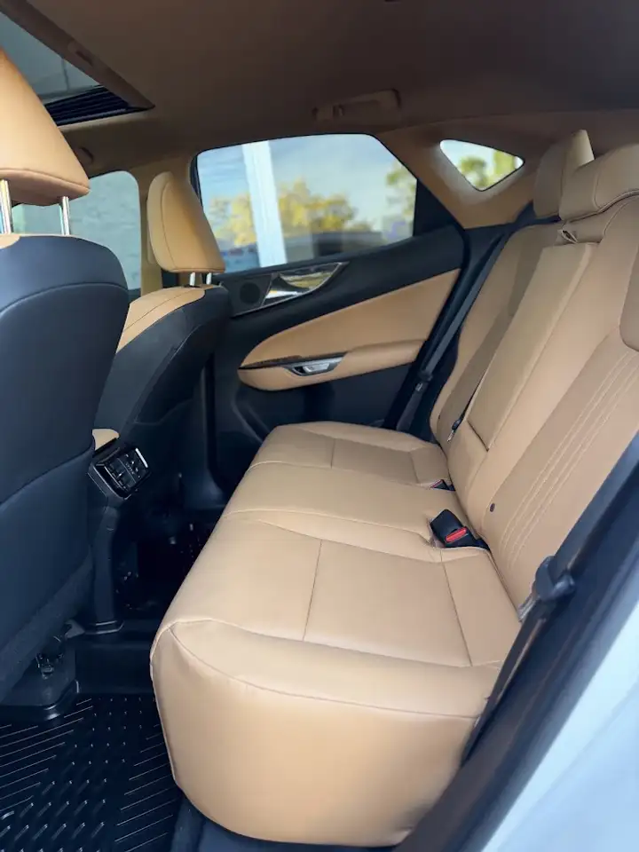 Lexus NX - Image 17