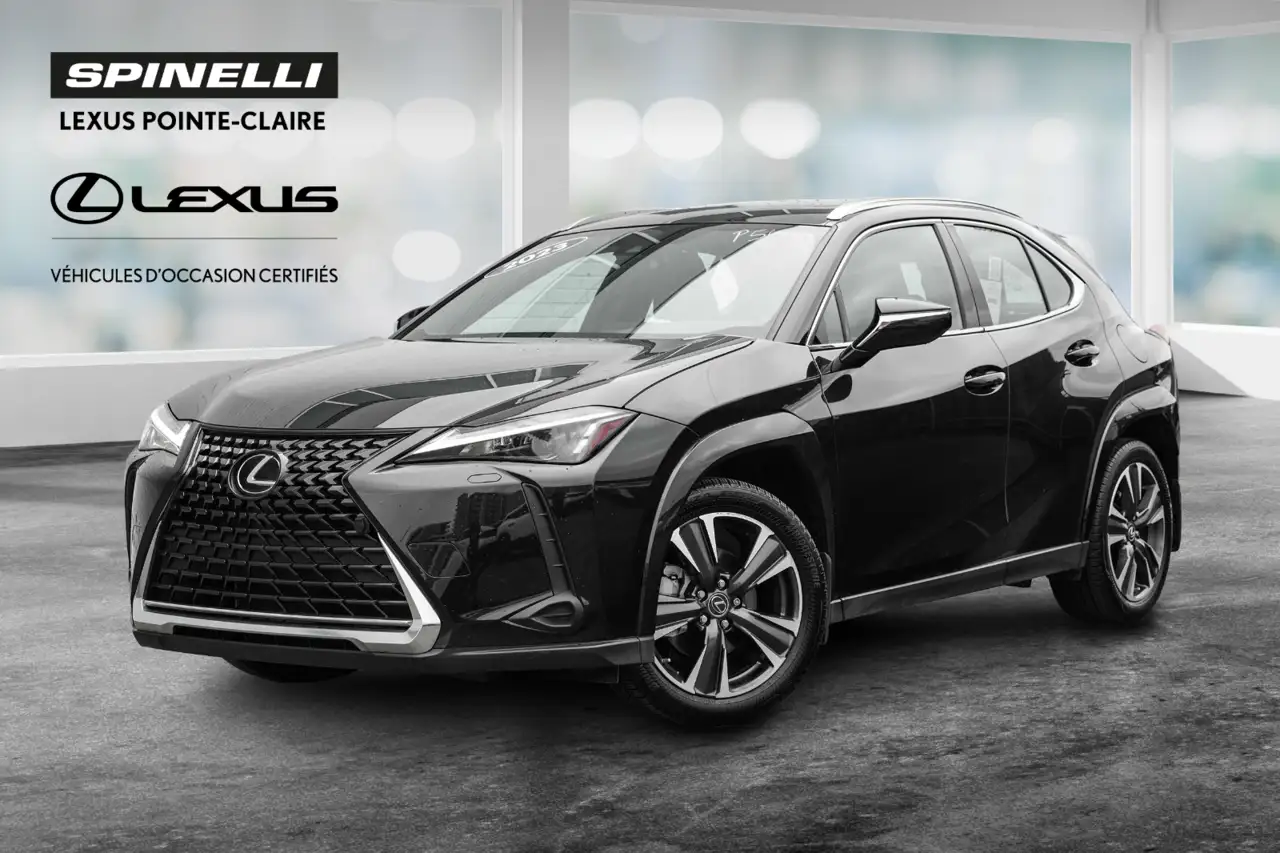 Lexus UX 250h - Image 1