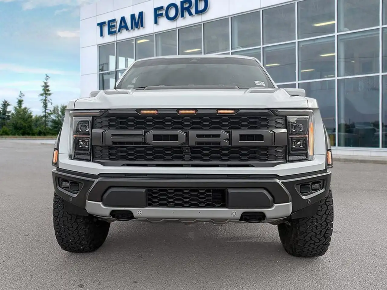 Ford F-150 - Image 2